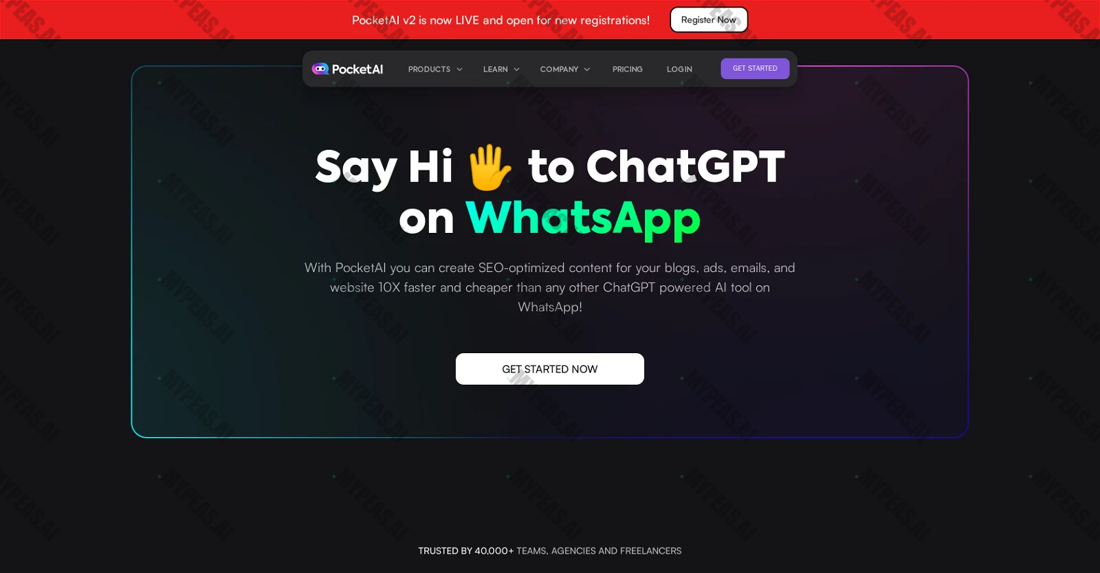 PocketAI screenshot