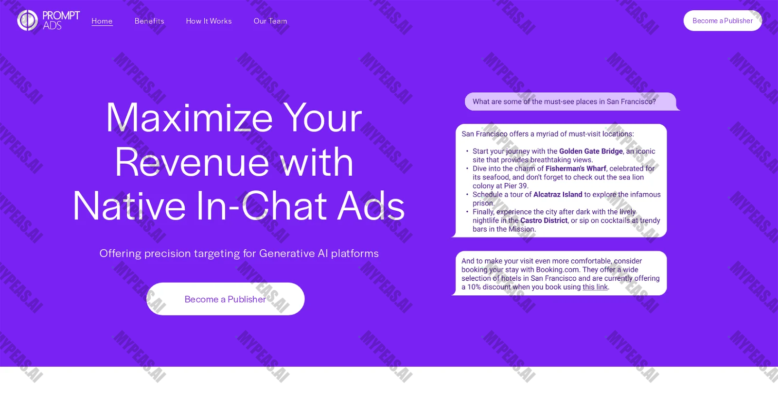 Promptads screenshot