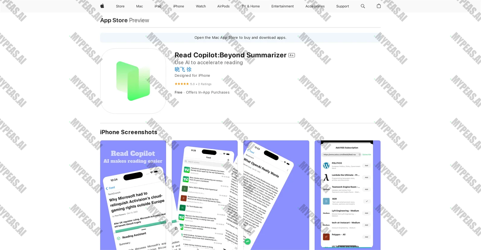 Read Copilot:Beyond Summarizer screenshot