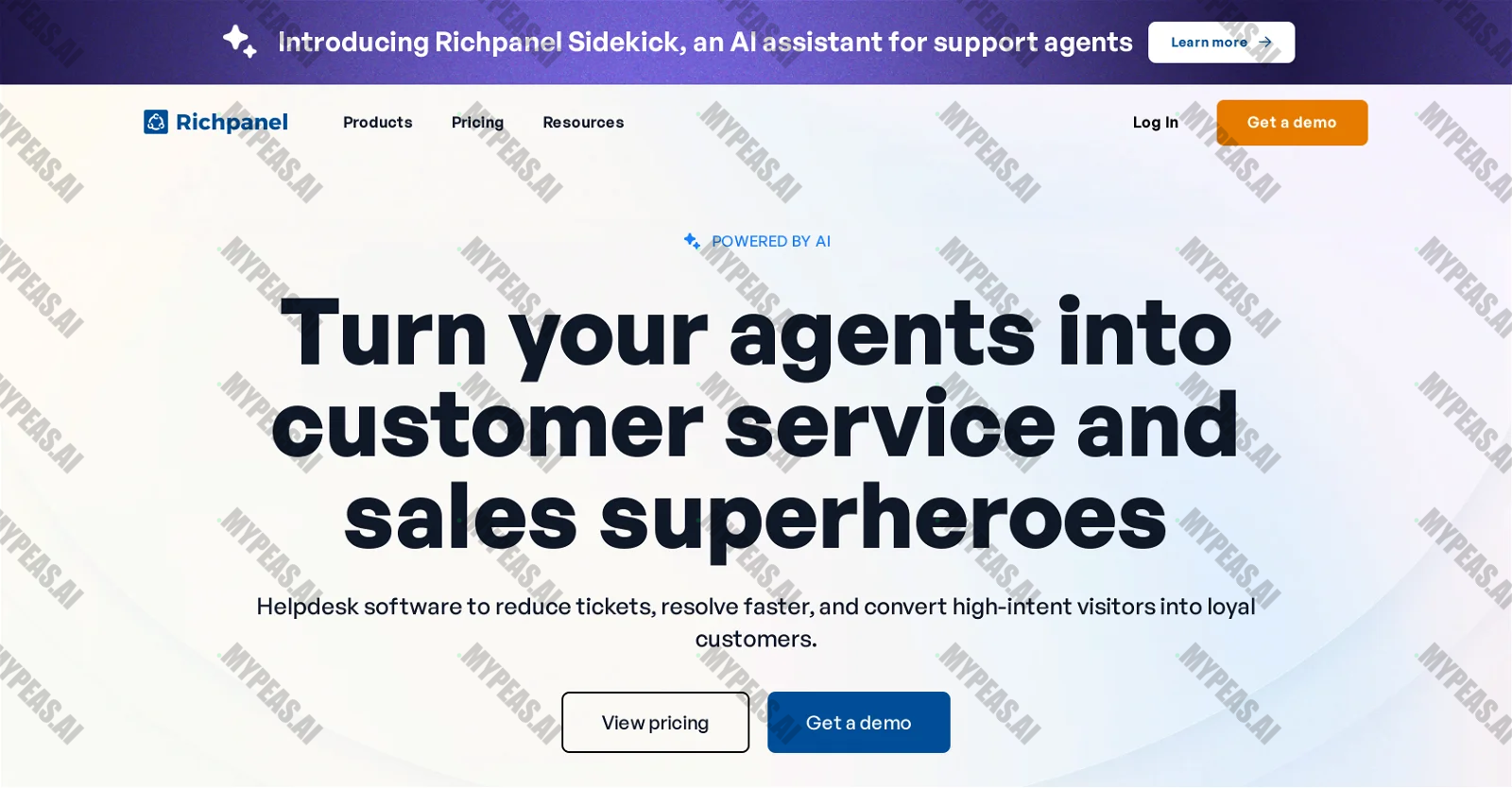 Richpanel screenshot