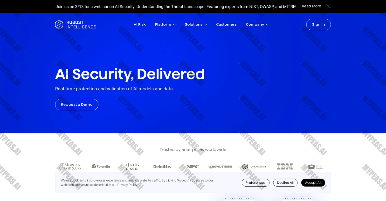 Robust Intelligence screenshot