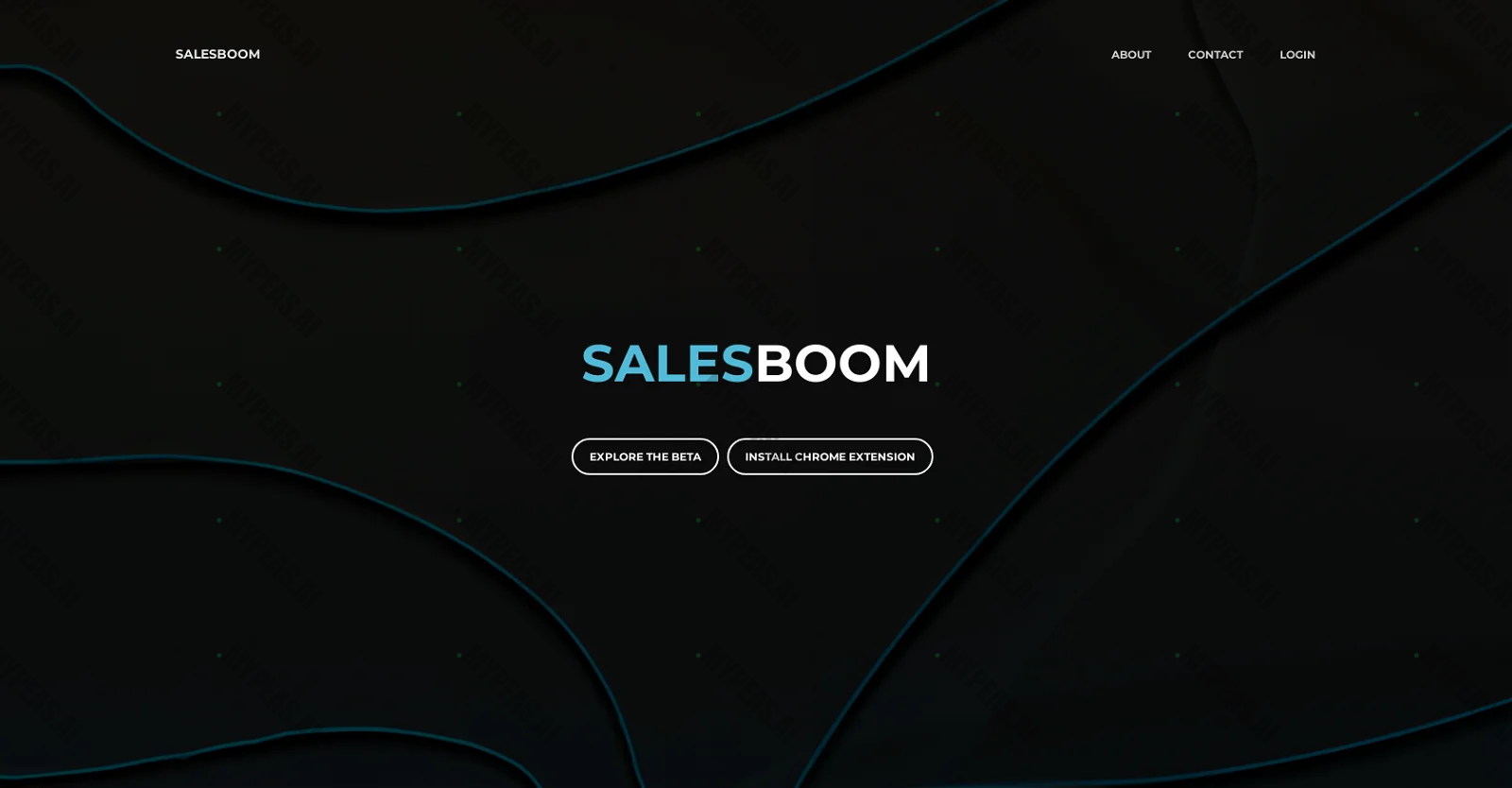 Salesboom screenshot