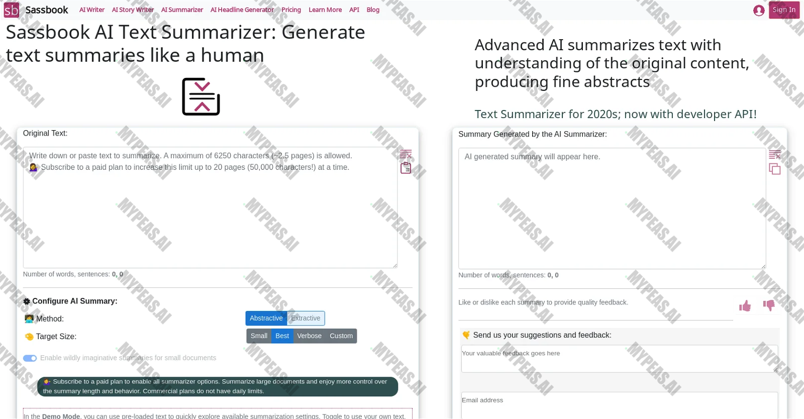 Sassbook AI Summarizer screenshot