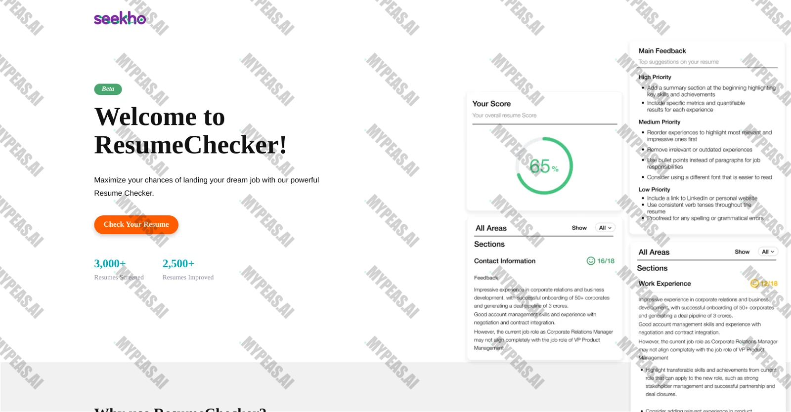 Seekho Resume Checker screenshot