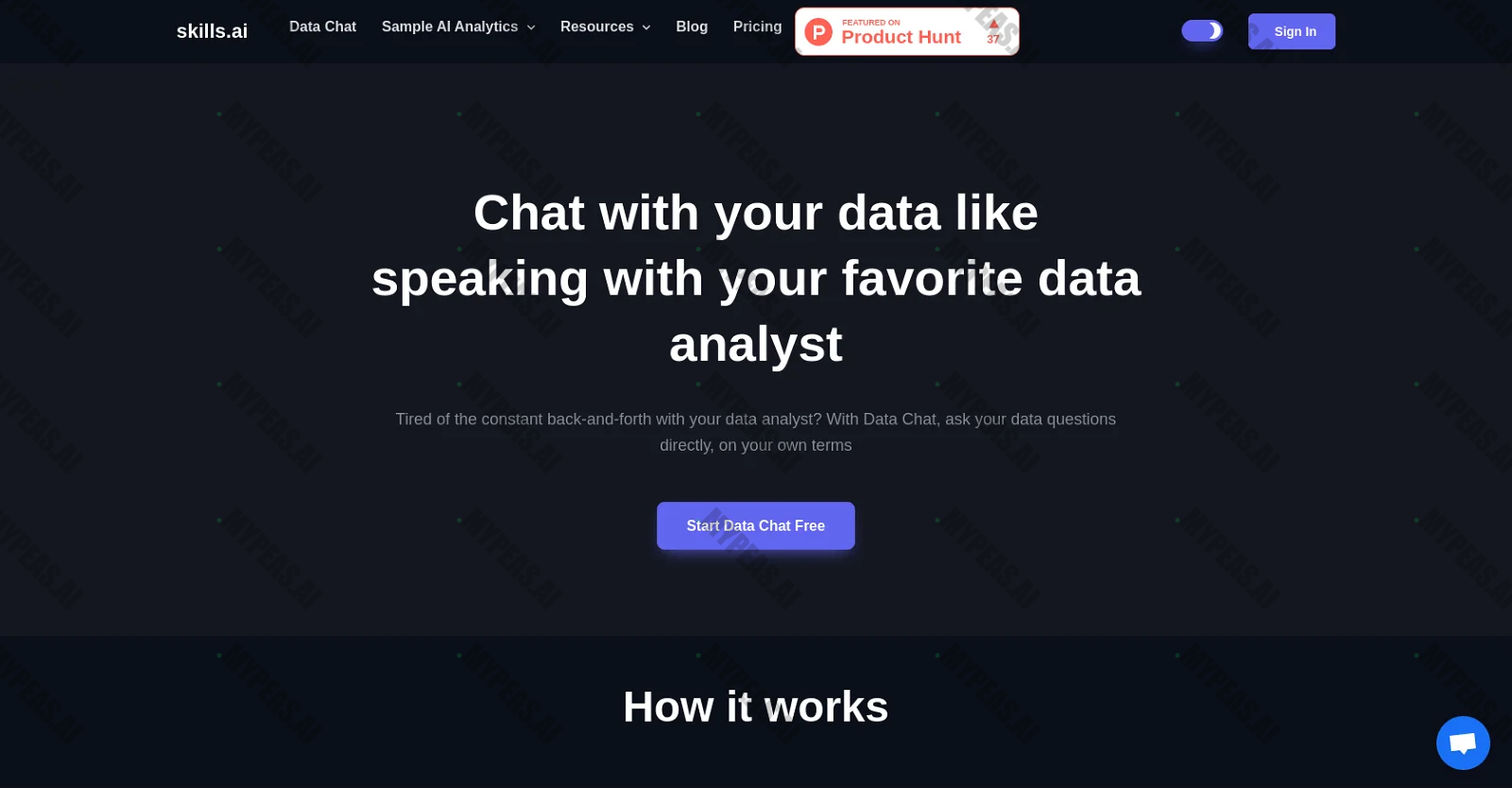 Skills AI Chat screenshot