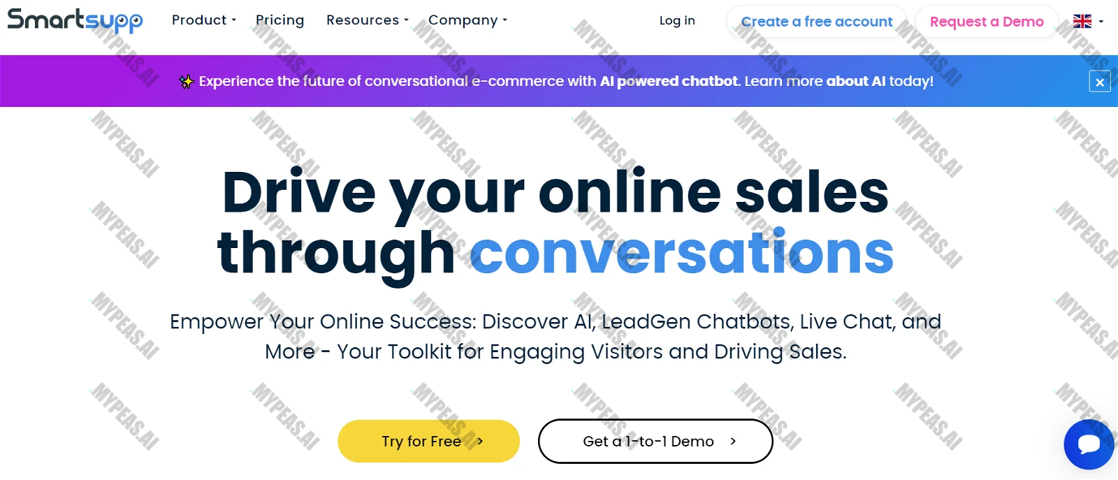 Smartsupp screenshot