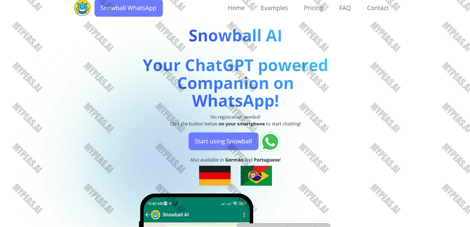 Snowball screenshot