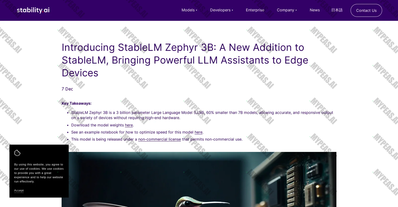 StableLM Zephyr 3B screenshot