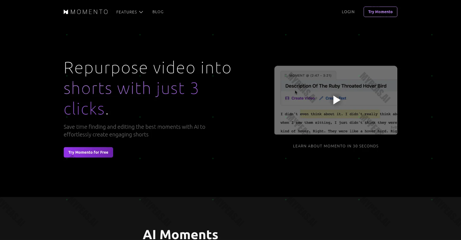 Studio Momento screenshot