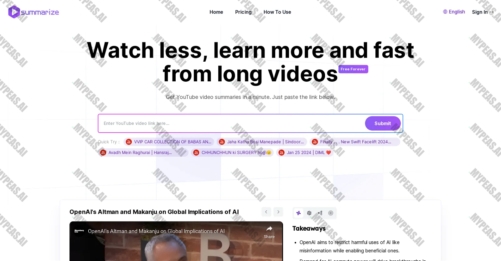 Summarize.ing screenshot