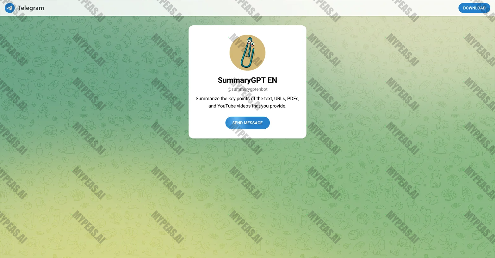 SummaryGPT screenshot