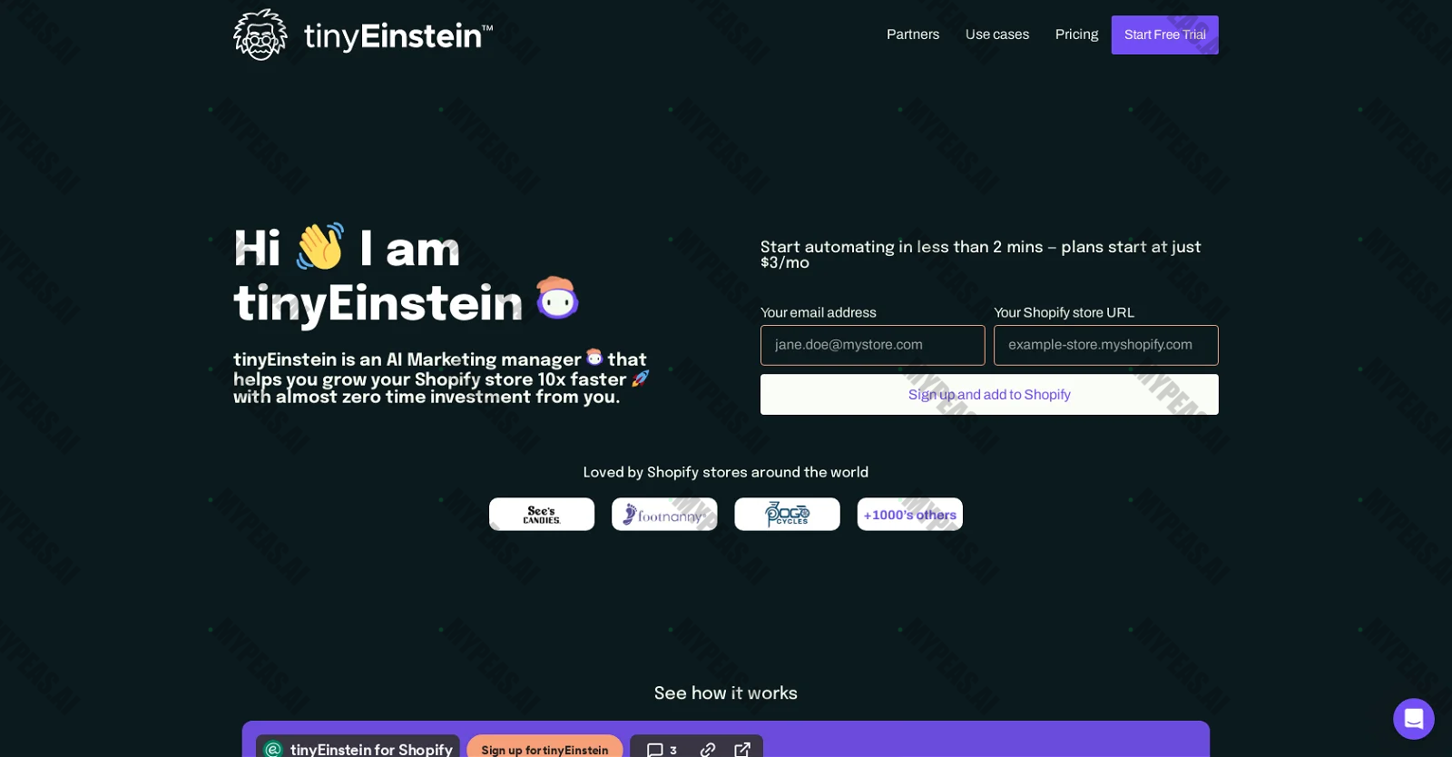 TinyEinstein screenshot