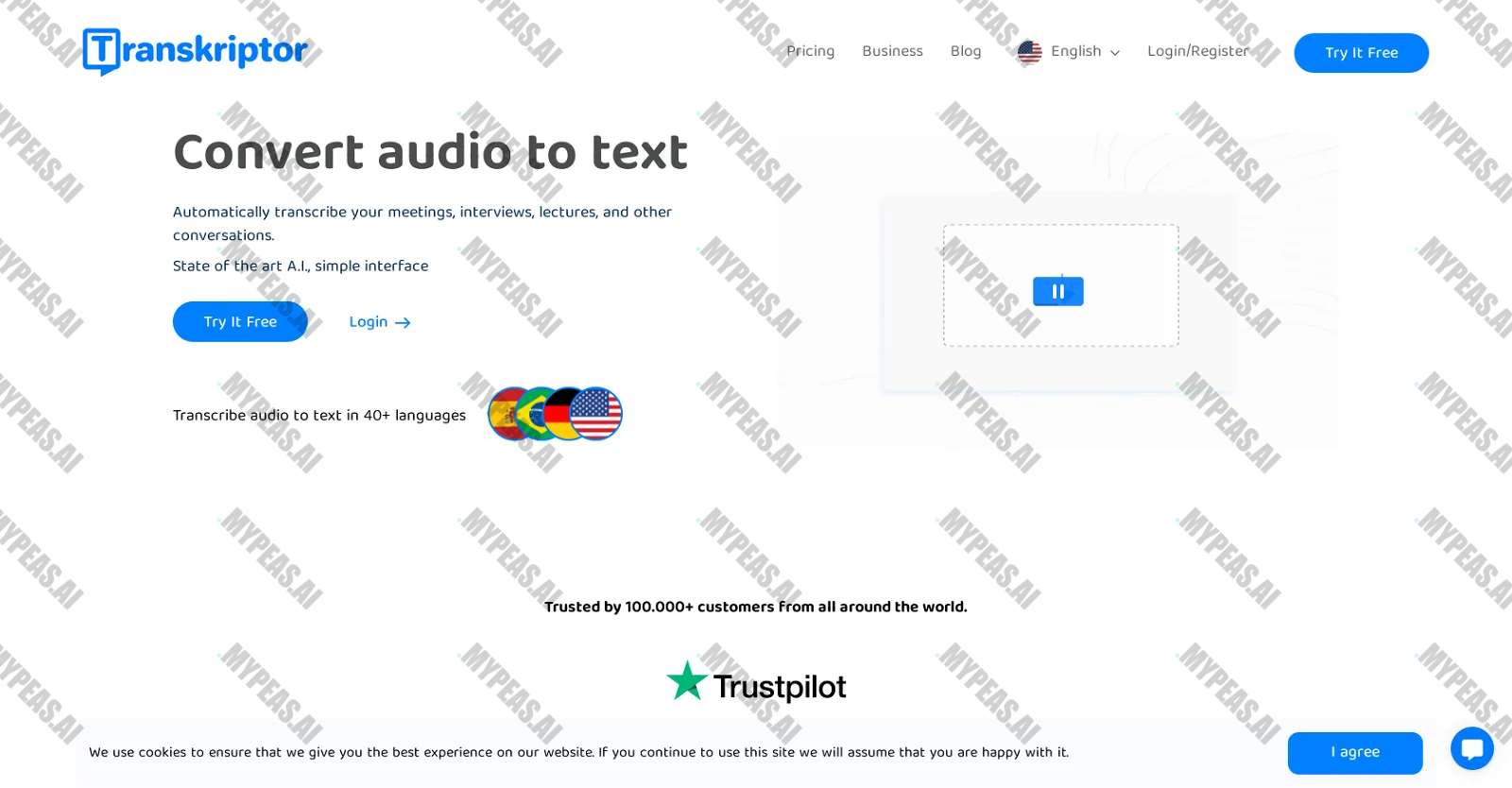 Transkriptor screenshot