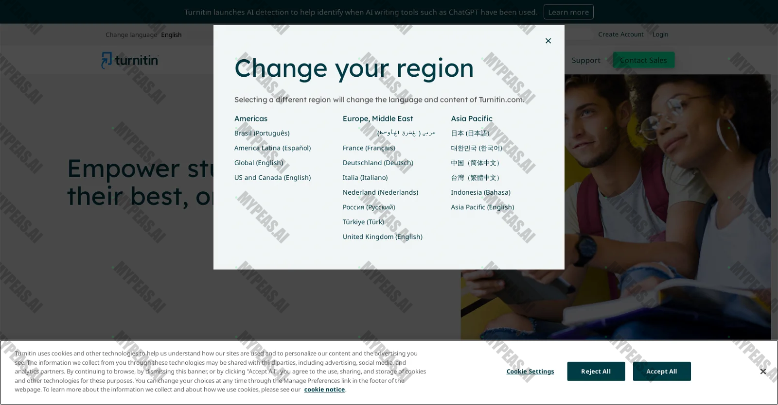 Turnitin screenshot