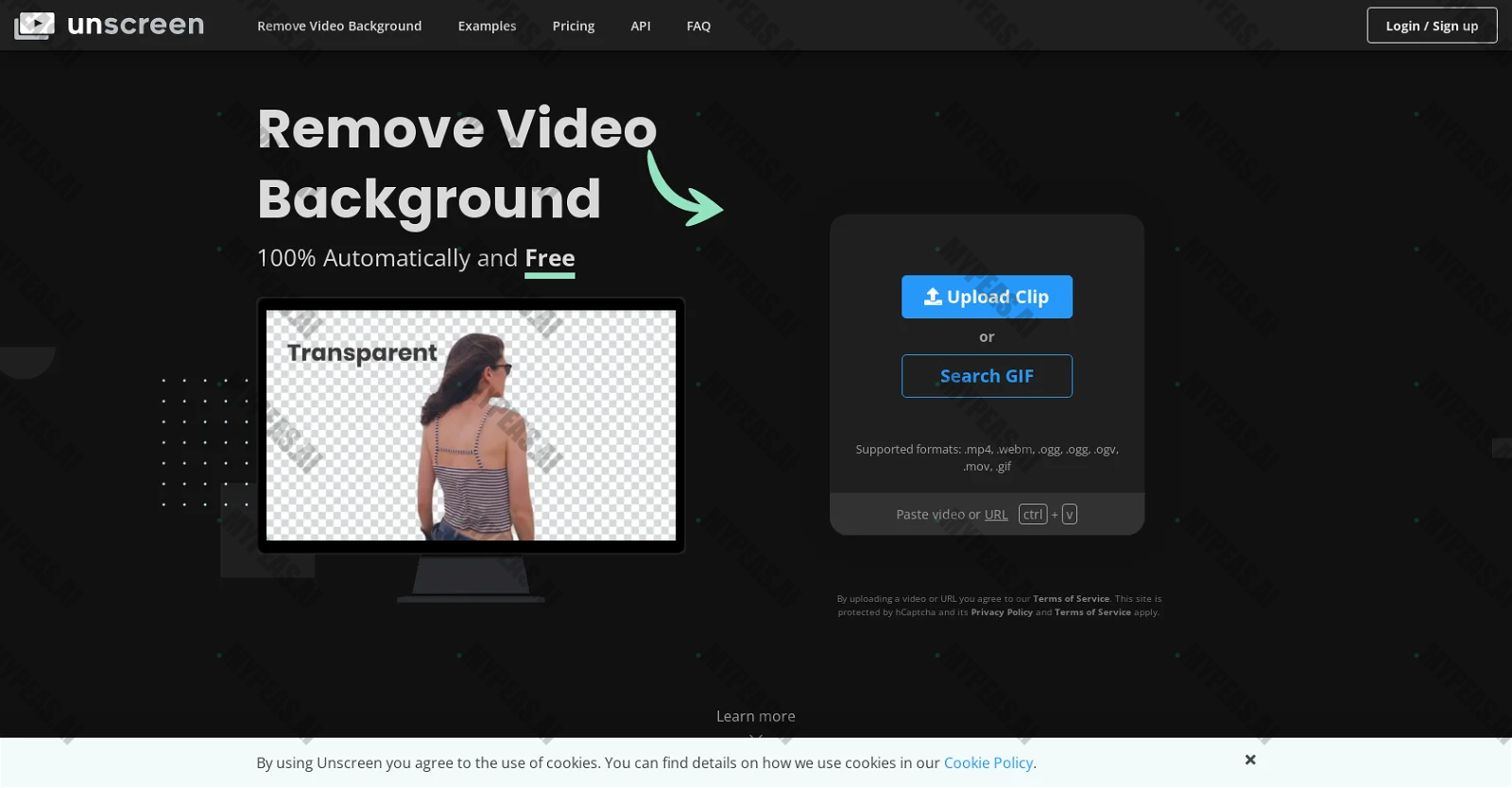 Unscreen screenshot