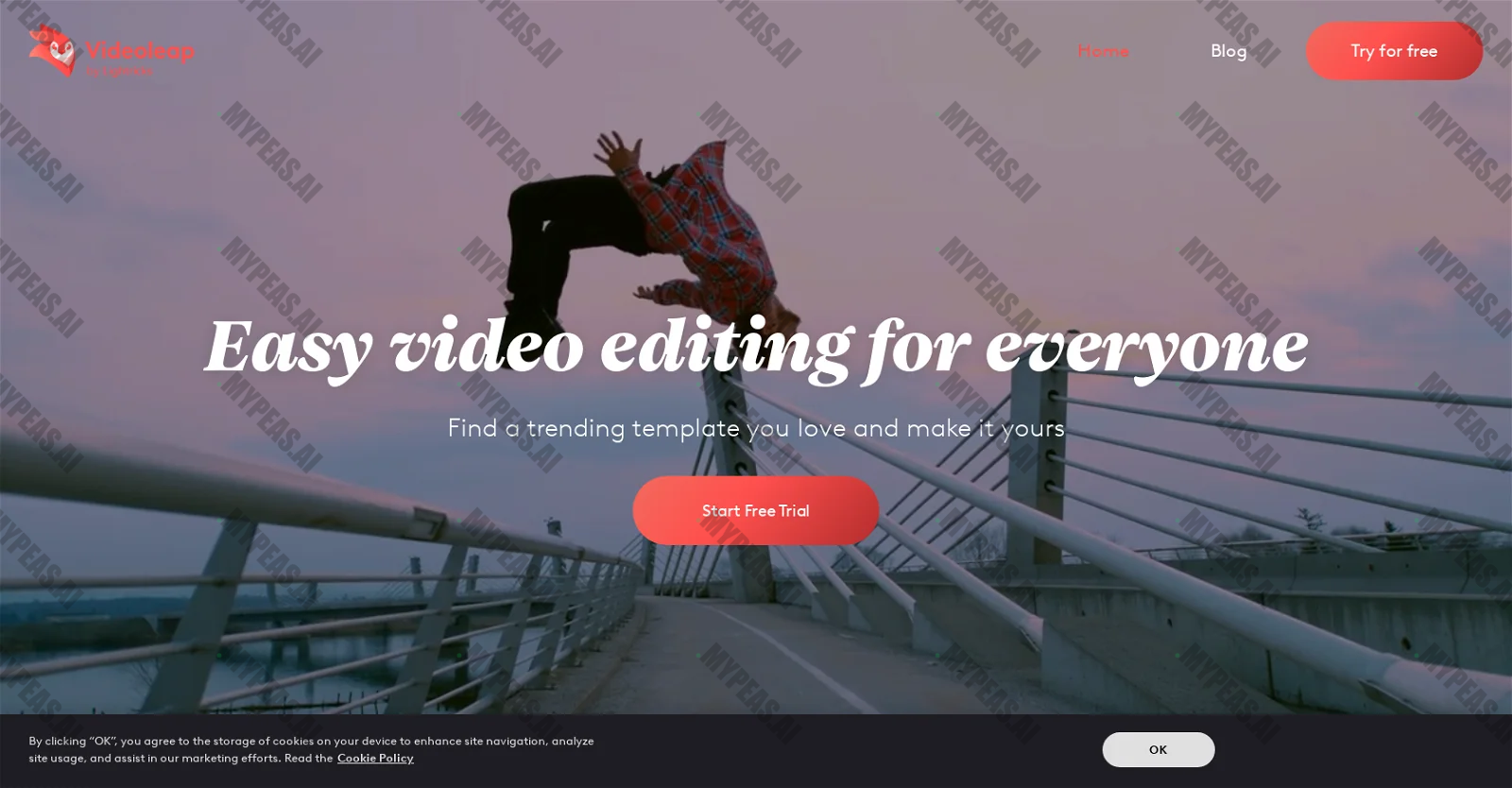 Videoleap screenshot