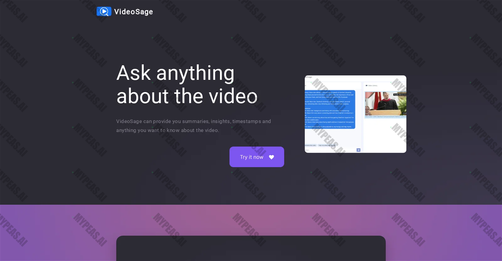 VideoSage screenshot