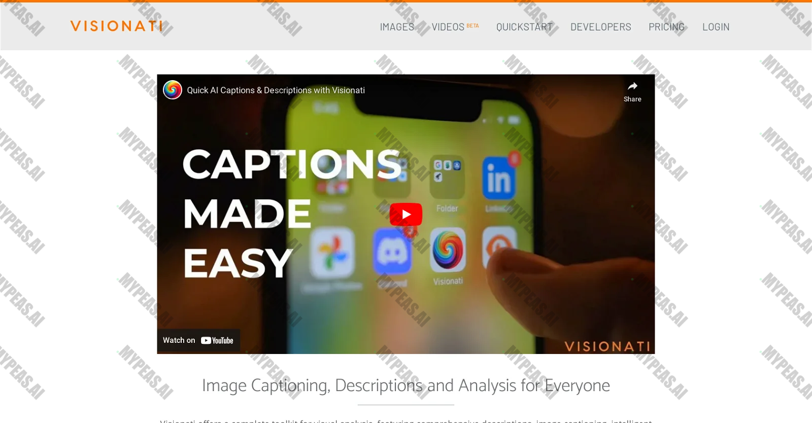 Visionati screenshot