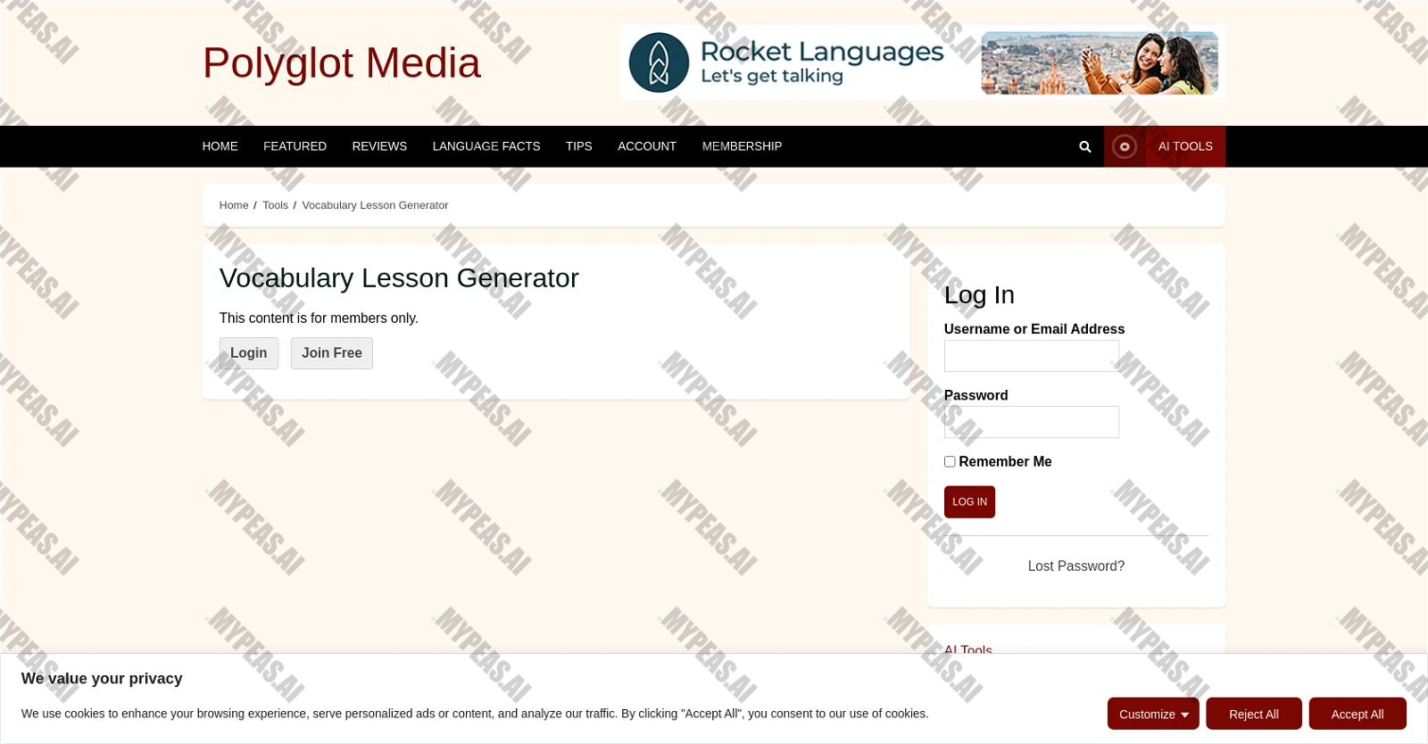 Vocabulary Lesson Generator screenshot