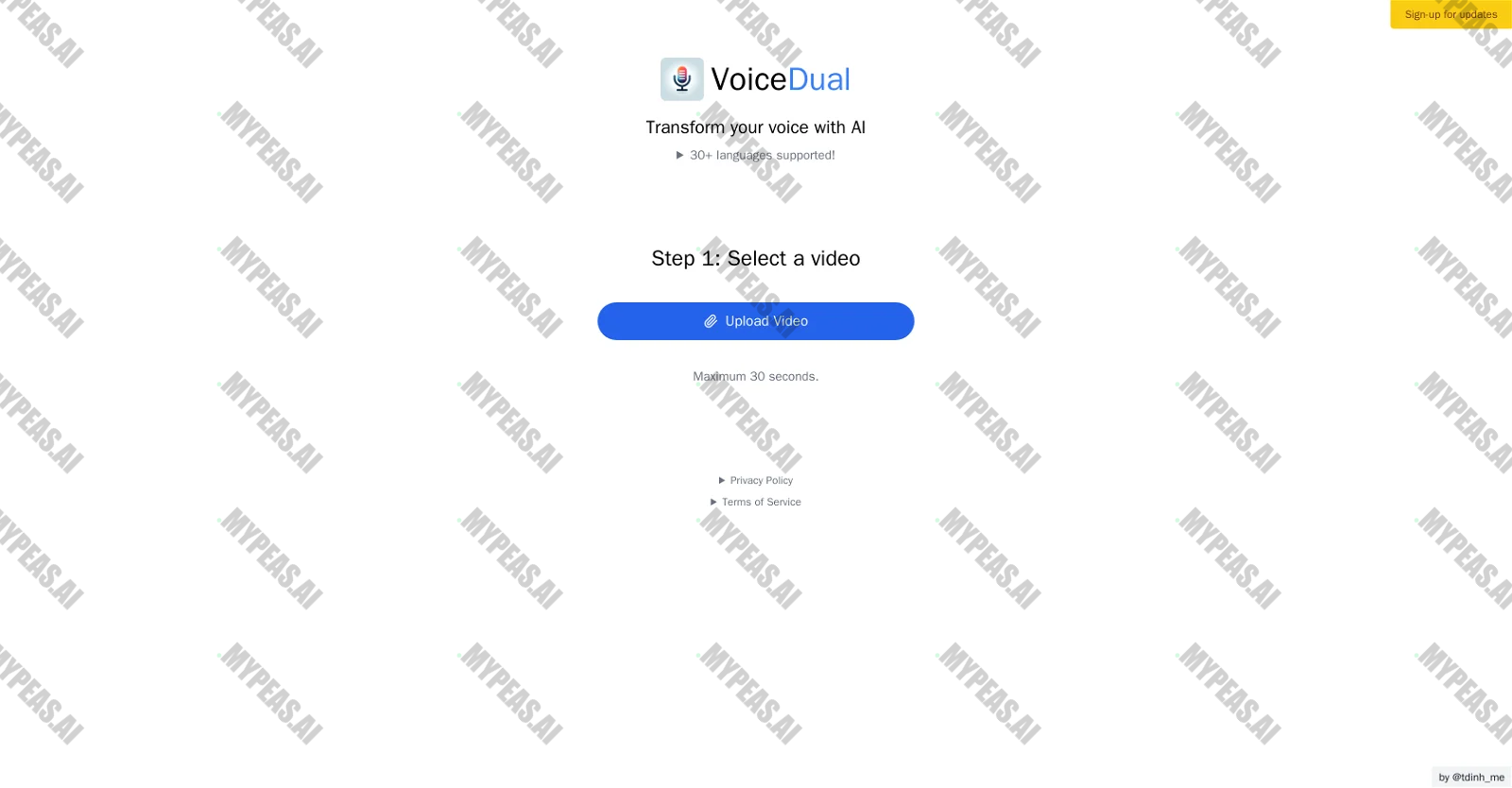 Voice Dual screenshot