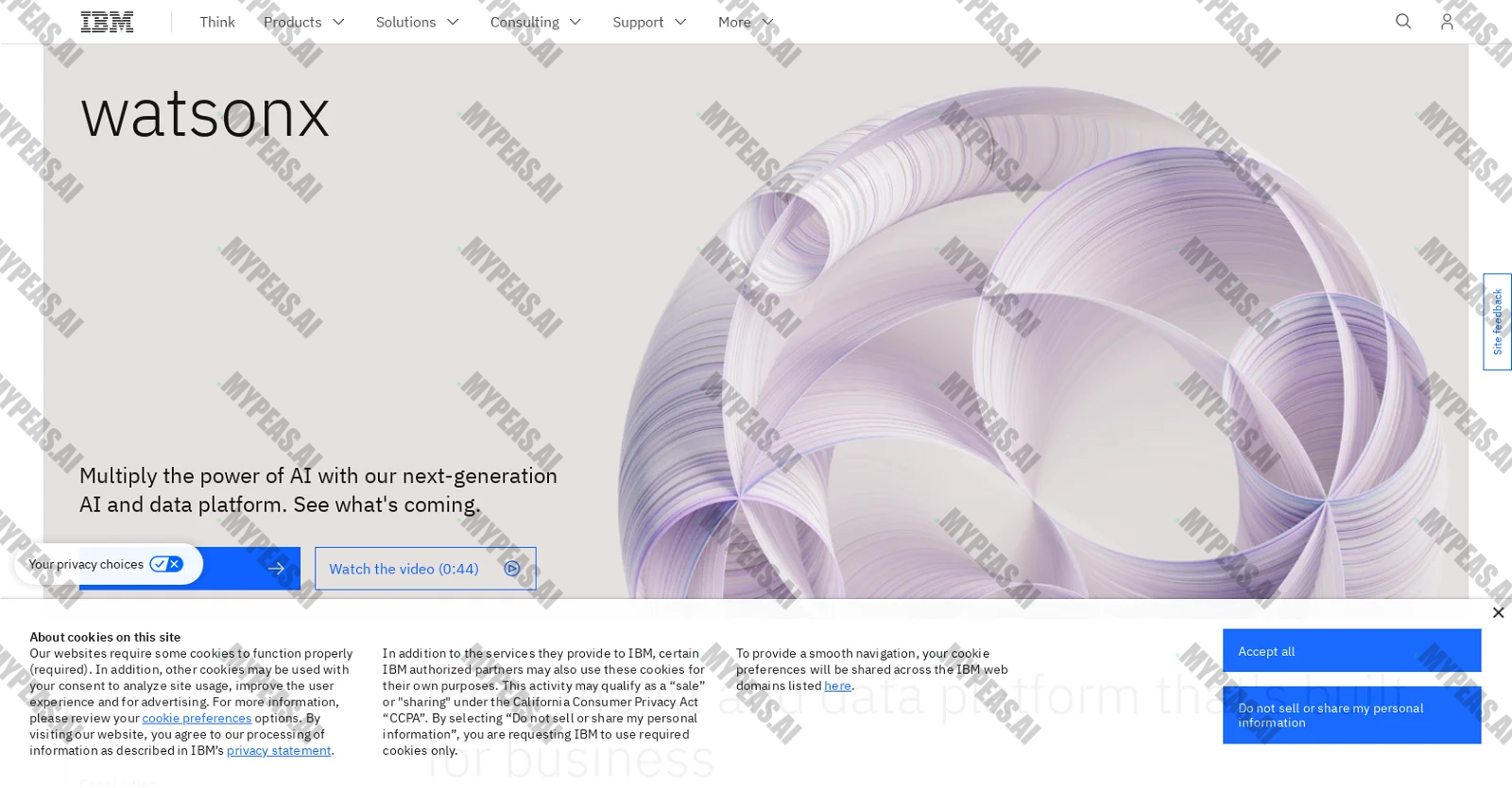 WatsonX by IBM screenshot