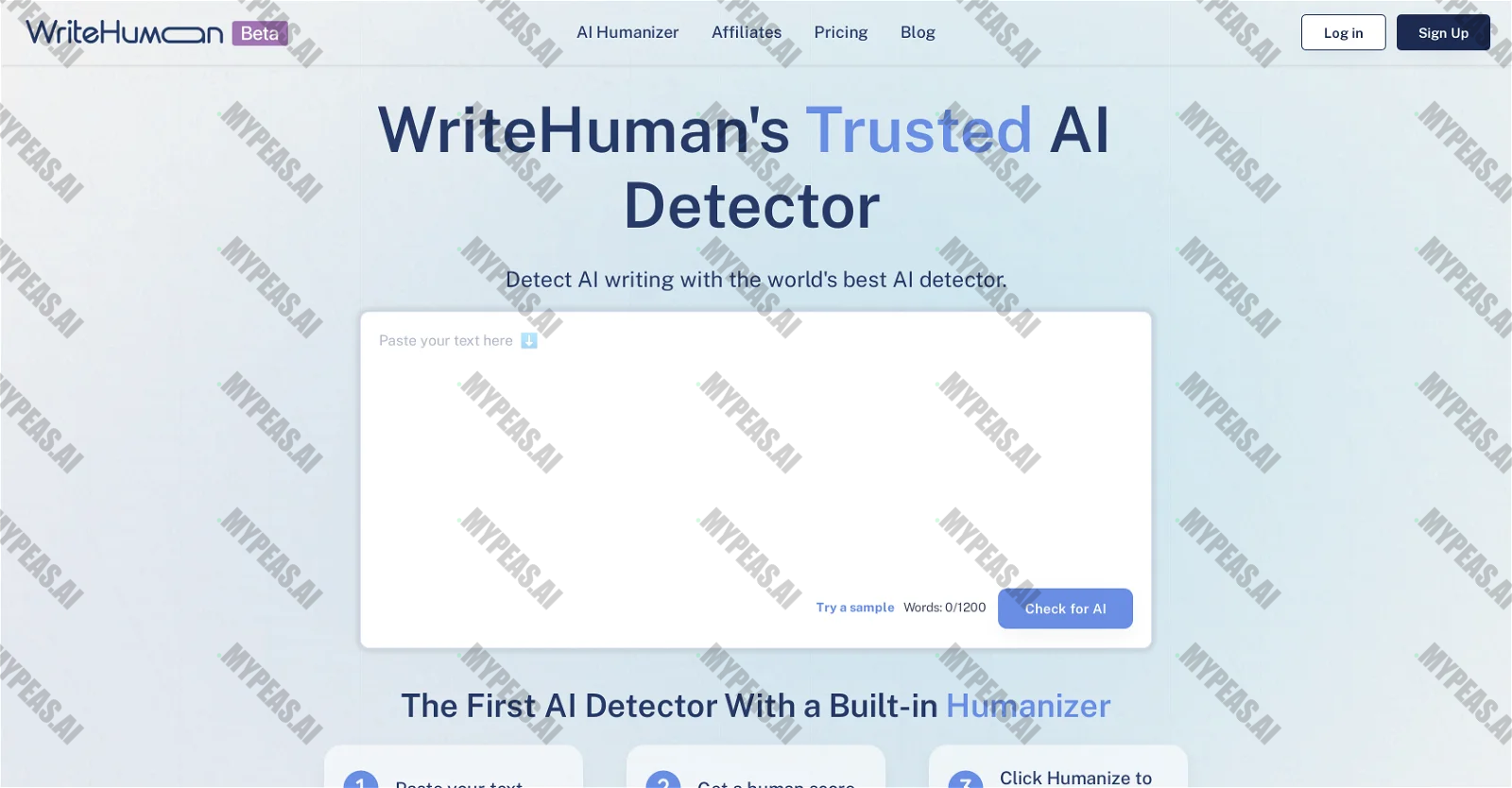 WriteHuman: AI Detector screenshot