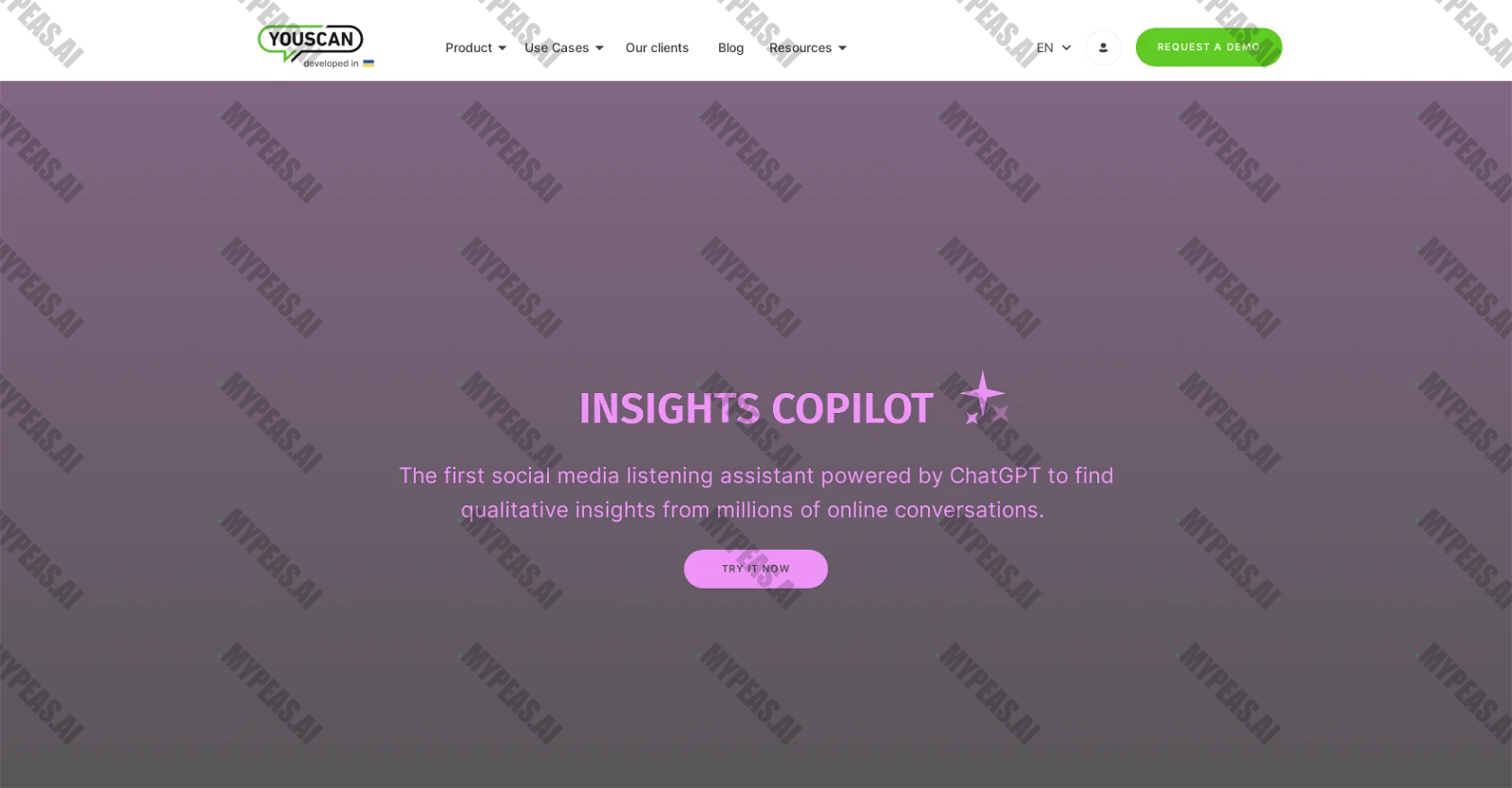 Youscan screenshot