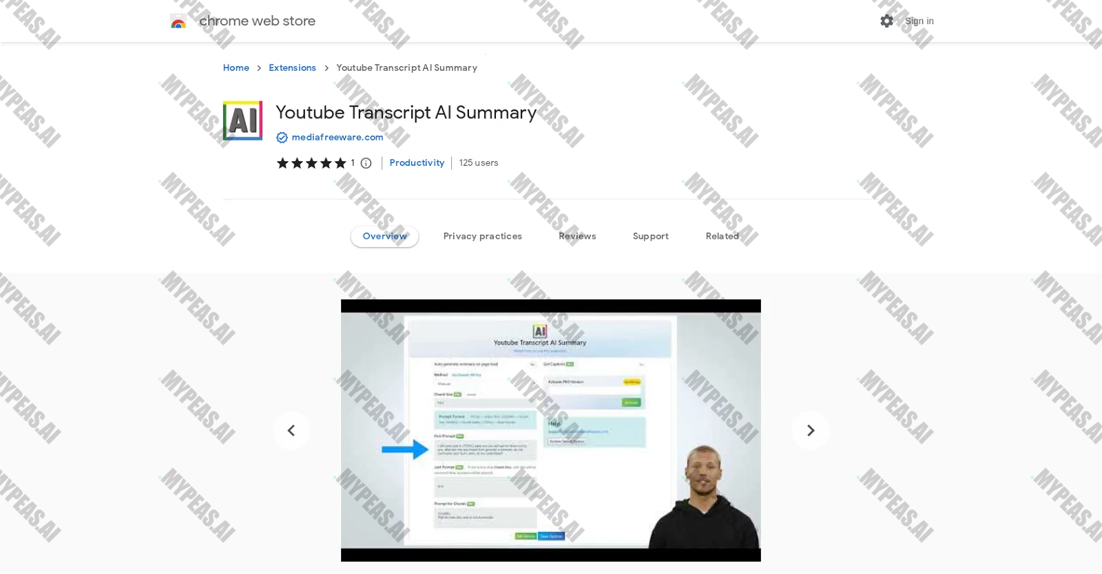 Youtube Transcript AI Summary screenshot