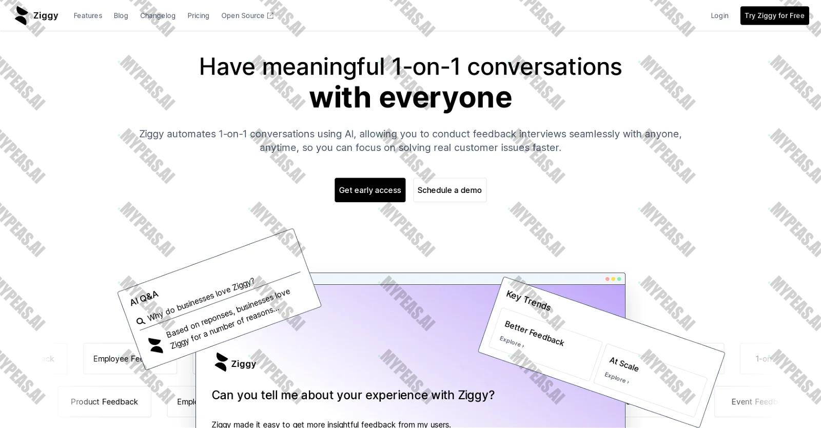 Ziggy screenshot