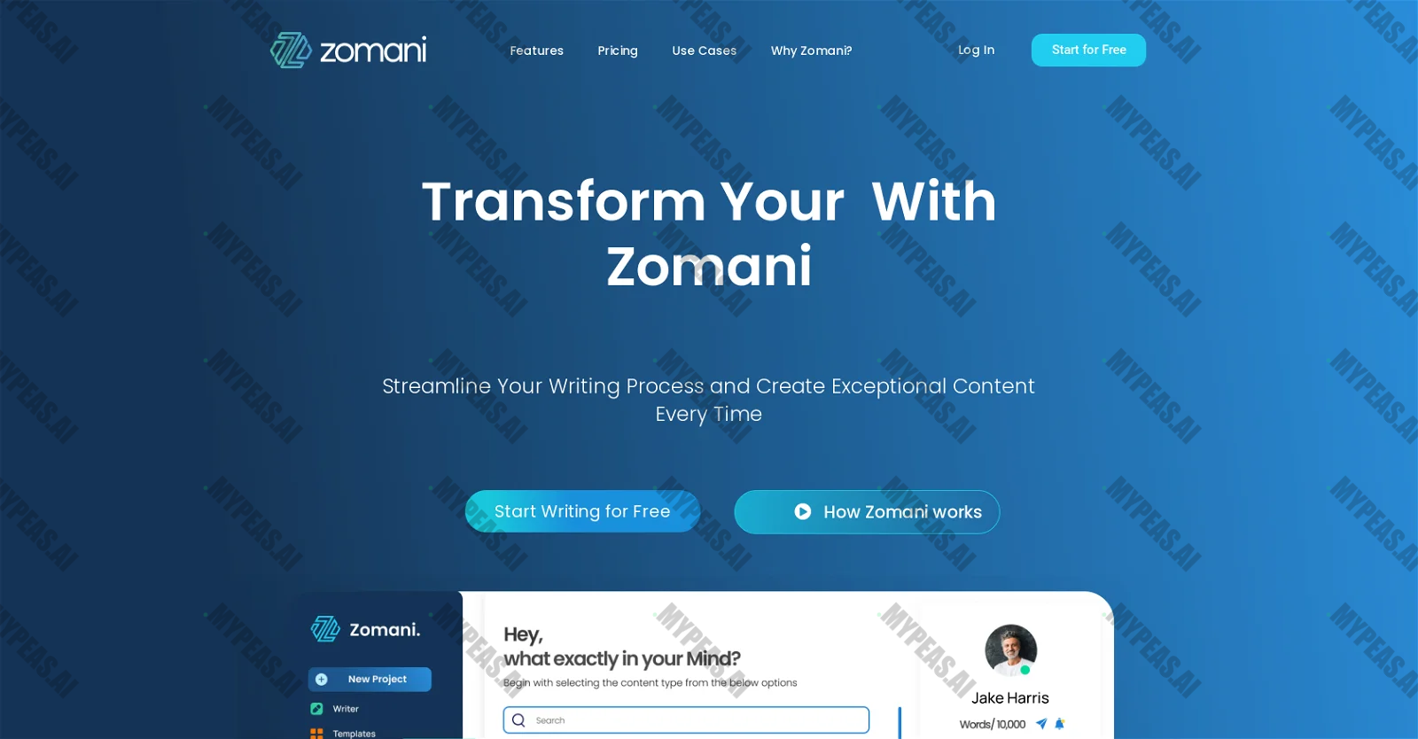 Zomani screenshot